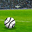 Ball Champion