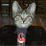 Lolcat Short #1