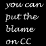 put the blame on cc