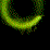 Serpentum