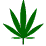 420 Happy Birthday