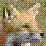 Fox Senses