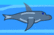Feed the Dolphin