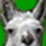 Llama quiz #1