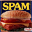 Find the Spam!