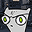 : Cow-mouflage :
