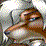 Yiff II