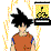Chucks Dragon Ball's
