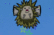 Hedgehog Launch