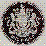 The Coin