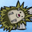 Hedgehog Launch