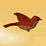 A Birds Journey