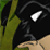 Two-Hour Time Trial VI