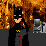 Bat Insurance