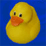duck think outs the flock
