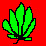 smoke weed