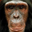 ChimpClock&FrogClock Fun!