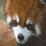 Jigsaw: Redpanda