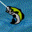 Fishing Frenzy
