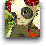 The Dofus Quiz