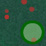 Cells