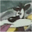 Trad Animation Collection