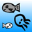 Life of Squid