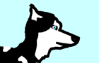 Anna the Hungry Husky