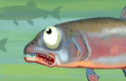 Fishing Champion