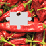 Jigsaw Chilis