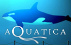 Aquatica