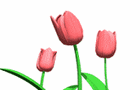 Springtime