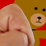 Bear X-Factor