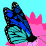 Butter Fly