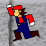 Mario of the Bricks