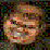 What is Doom love (Loop)