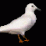 kill the fucking bird 3
