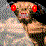 Doom: The last friendship