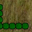 Snake (first flash)