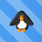 Penguin Rider