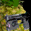 the socom squad is gay