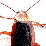 bug teh fag0t