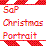 SaP Christmas Portrait