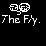 The Fly.