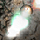 Magnesium Gardens Ep 1