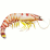 non hooded prawn