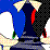 Sonic Vs Shadow: Preview