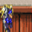 Gun Star Heroes (Blue) 1