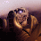 Starcraft owned by toss