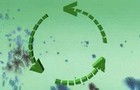 The Recycle song